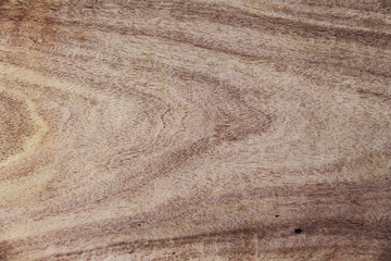 Texture of wood background pattern closeup