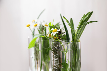 Test tubes of different essential oils with plants against light background, closeup