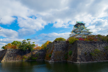 Fototapeta na wymiar Himeji Castle,Osaka Castle in Osaka with autumn leaves,autumn in japan