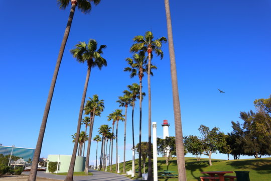 SHORELINE VILLAGE in Long Beach, California