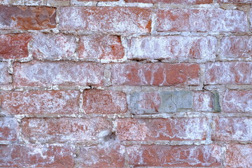 Old brick wall. Background for interior design.