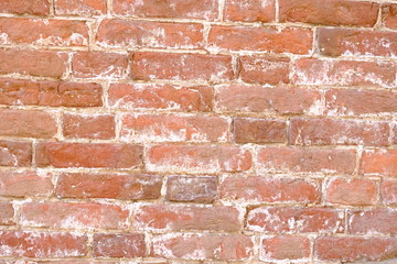 Obraz premium Old brick wall. Background for interior design.