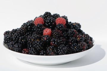 Blackberries with raspberries from Swiss forest isolated in white bowl