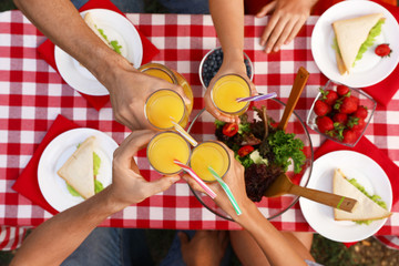 Group of people having picnic at table outdoors, top view