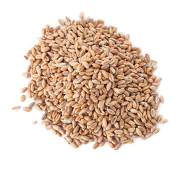 Pile of wheat grains on white background, top view. Cereal crop
