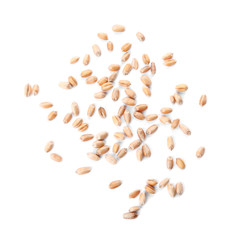 Wheat grains on white background, top view. Cereal crop