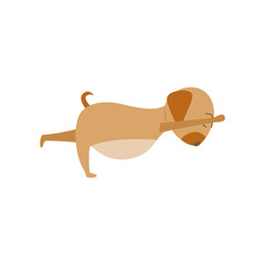 Funny lovely dog in Yoga pose or asana, flat vector illustration isolated.
