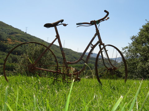 Beautiful photo of a rusty old bicycle and abused