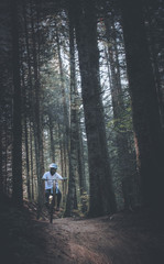 Obraz premium Ride en Forêt