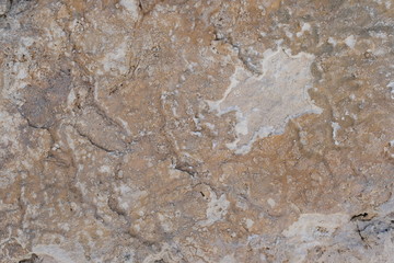 The texture of the wall of the building. Background for exterior design.