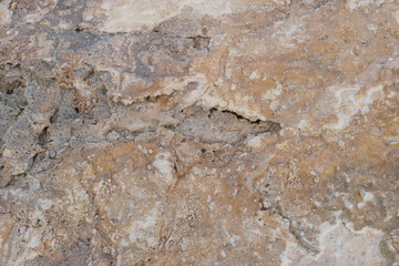 The texture of the wall of the building. Background for exterior design.