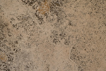 The texture of the wall of the building. Background for exterior design.