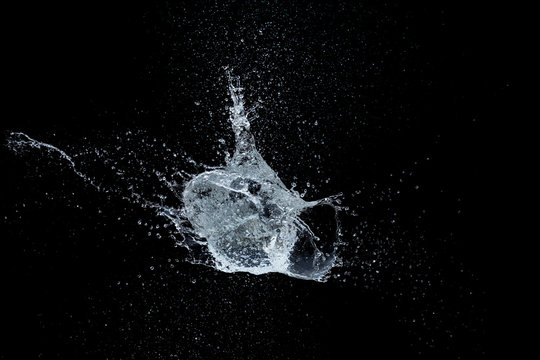 High-speed shot of a water balloon bursting on black background.