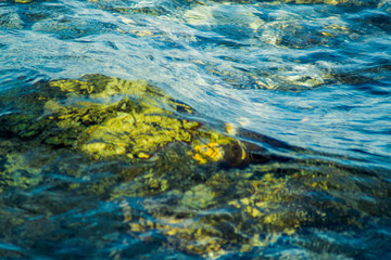 View of Dead Sea coastline