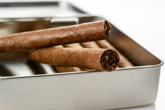 Some tobacco cigarillos in grey metal box. Close-up, high resolution.