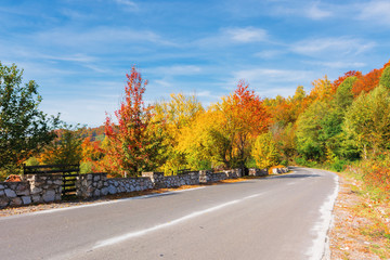 country road in mountains on a sunny day. wonderful autumn weather. trees in colorful foliage. blue sky with high clouds. 