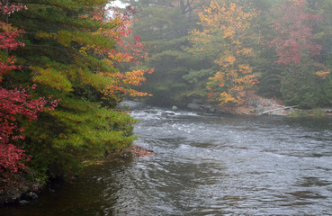 Naklejka na ściany i meble River rapids in the autumn mist
