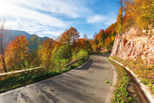 narrow serpentine road in mountains on a sunny day. wonderful autumn weather in afternoon. trees in colorful foliage. blue sky with high clouds. 