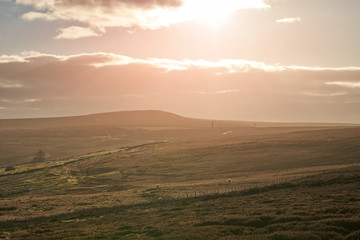 Obraz premium Distant views of the stone chimney's below the summit of Bolts Law in County Durham.