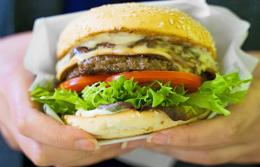 Fast food. Woman holding freshly cooked burger.