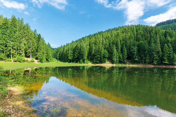 Fototapeta na wymiar beautiful summer landscape in mountains. lake among the spruce forest. wonderful sunny weather with some clouds on the sky. scenery reflecting in the water. great view of green and blue nature