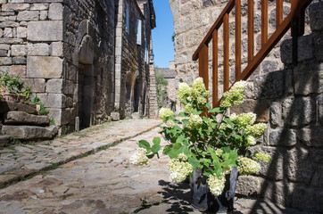 Naklejka premium village fortifié