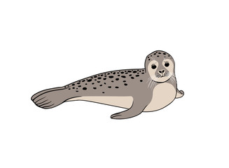 Seal on white background. Vector