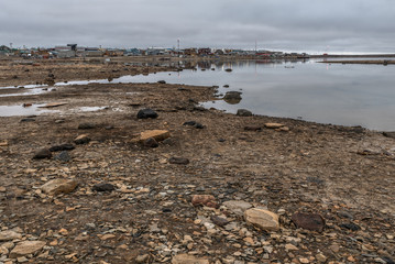 Fototapeta na wymiar Arctic Ocean Coastline at Cambridge Bay