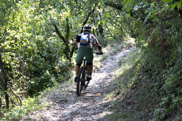 Fototapeta premium bike in mezzo al bosco