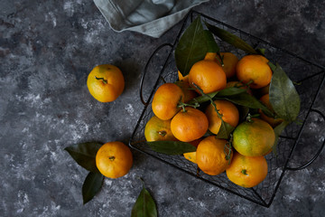 Juicy tangerines with leaves in a basket on a dark background
