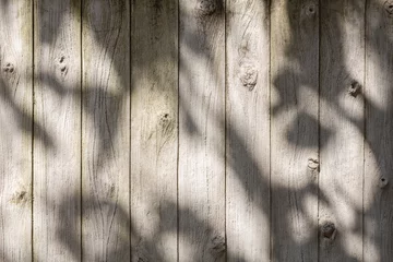 Zementwände gestreifte Rinde unter dem Blätterdach © somrerk