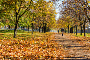 Lonely young woman walking in a city park on autumn