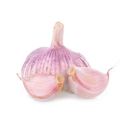 Garlic  Isolated background white