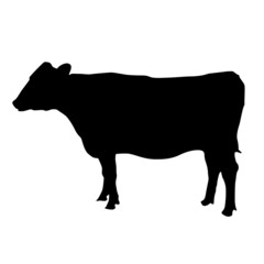 black silhouette of cow on white background