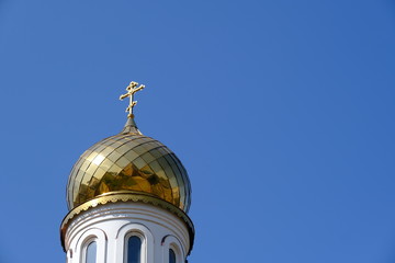  Wood texture for your design