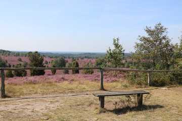 Bank auf dem Wilseder Berg ist in der Lüneburger Heide