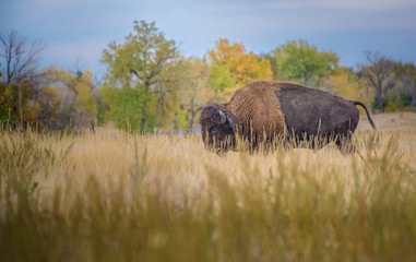 Rocky Mountain Arsenal Colorado