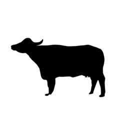 black silhouette of a bull