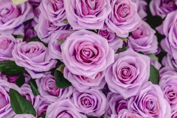 Bouquet roses flower background