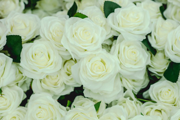 Bouquet roses flower background