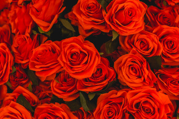 Bouquet roses flower background