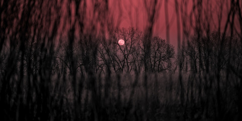 Obraz premium Rocky Mountain Arsenal Colorado