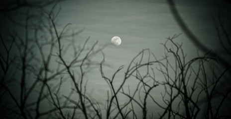 Rocky Mountain Arsenal Colorado