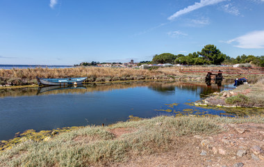 Vue sur le village de Meze  - Etang de Thau - Herault - Occitanie - France