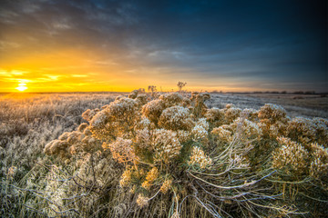 Rocky Mountain Arsenal Colorado