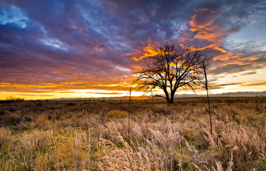 Rocky Mountain Arsenal Colorado