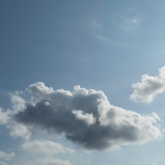 On one half of the image there are fluffy clouds, on the other half of the image there is the blue sky.
