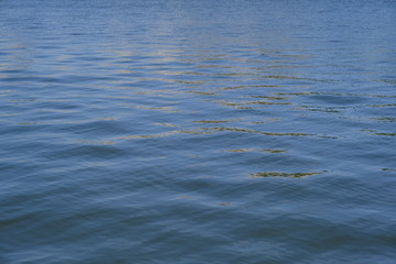  The surface of the water in the city canal