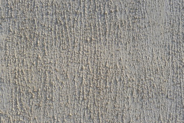  The wall of the house. Background for your design.