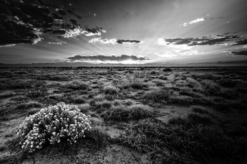 Rocky Mountain Arsenal Colorado